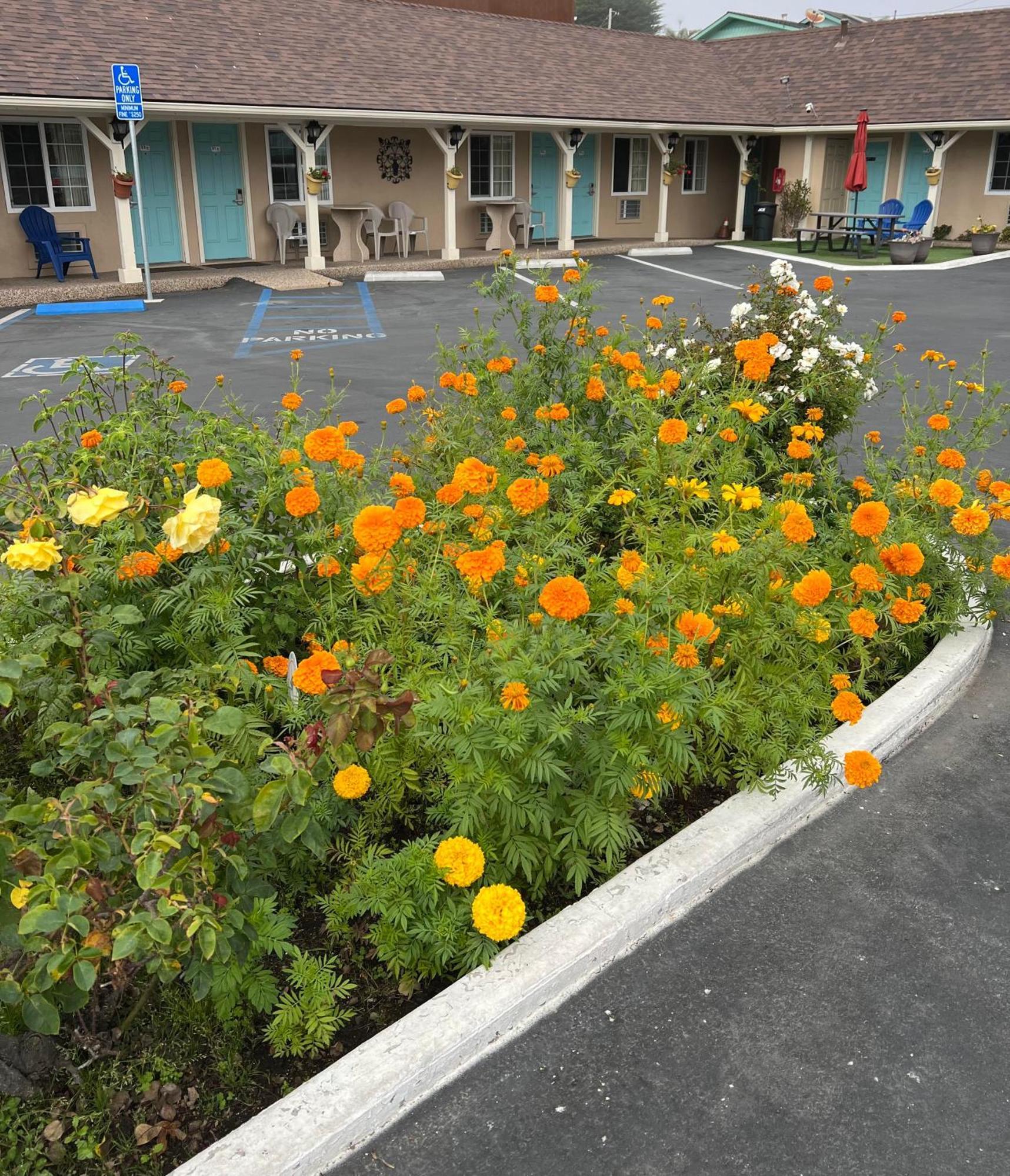 Central Coast Inn - Cayucos Exterior foto
